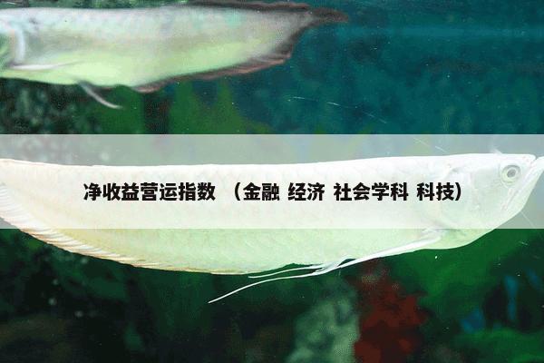 净收益营运指数 （金融 经济 社会学科 科技）