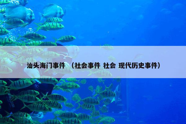 汕头海门事件 （社会事件 社会 现代历史事件）