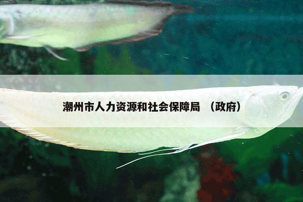 潮州市人力资源和社会保障局 （政府）