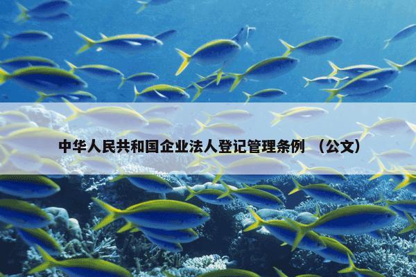 中华人民共和国企业法人登记管理条例 （公文）