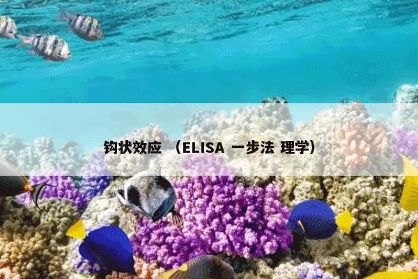 钩状效应 （ELISA 一步法 理学）