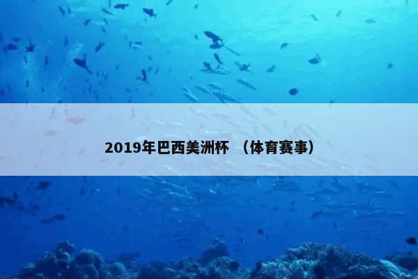 2019年巴西美洲杯 （体育赛事）