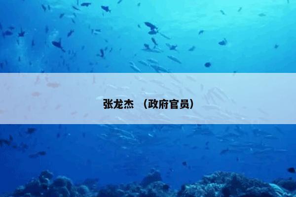 张龙杰 （政府官员）