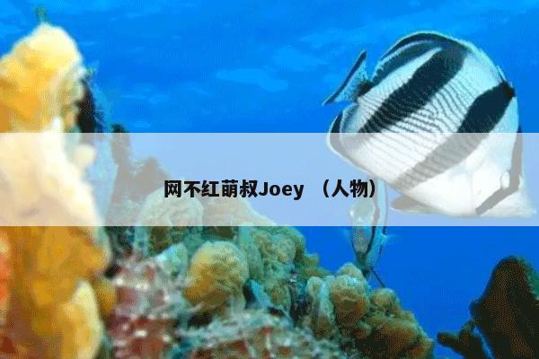 网不红萌叔Joey （人物）