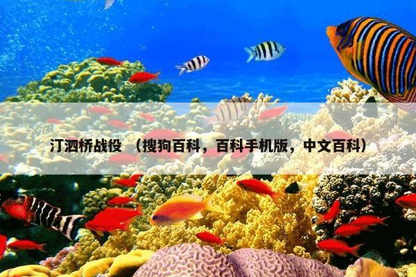 汀泗桥战役 （搜狗百科，百科手机版，中文百科）