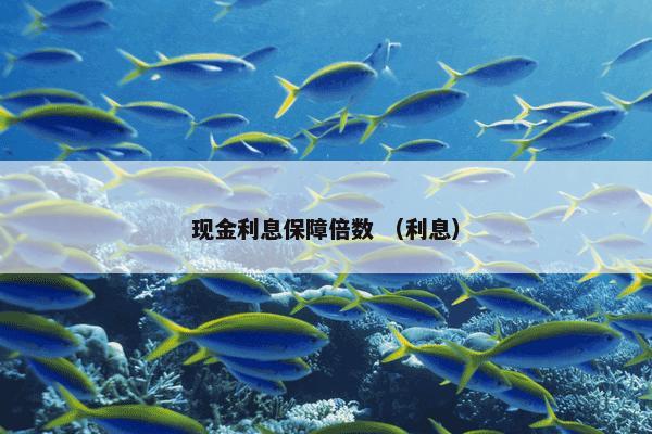 现金利息保障倍数 （利息）