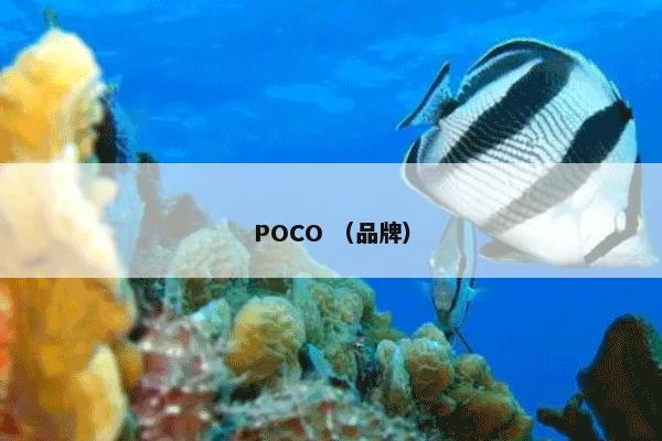 POCO （品牌）