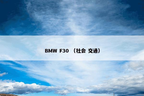 BMW F30 （社会 交通）