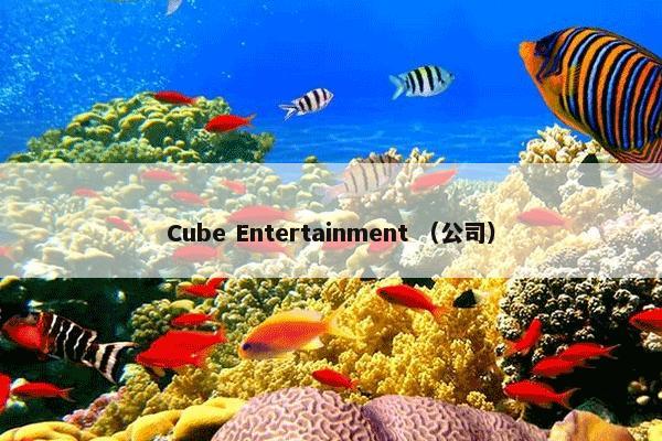 Cube Entertainment （公司）