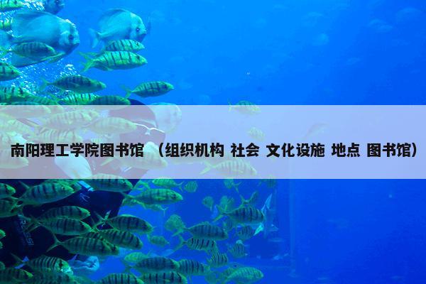 南阳理工学院图书馆 （组织机构 社会 文化设施 地点 图书馆）