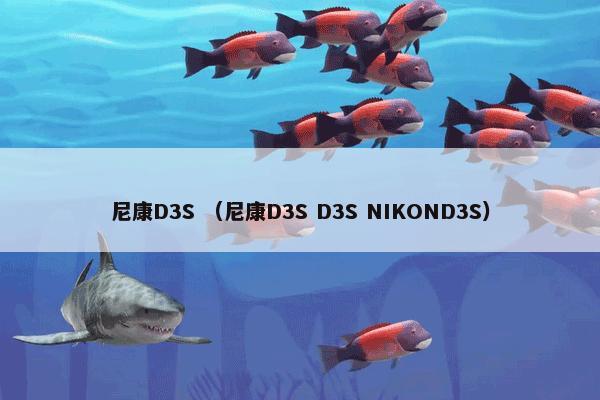 尼康D3S （尼康D3S D3S NIKOND3S）