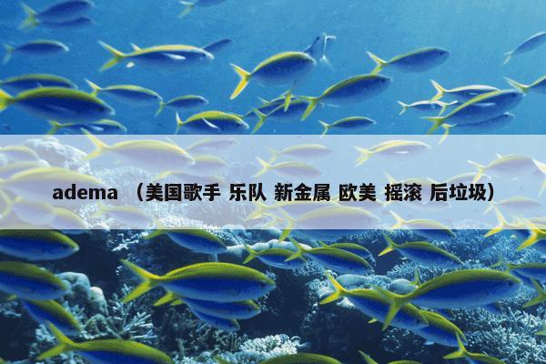 adema （美国歌手 乐队 新金属 欧美 摇滚 后垃圾）