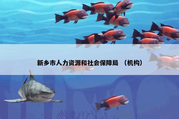 新乡市人力资源和社会保障局 （机构）