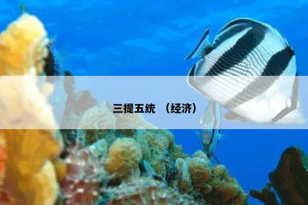 三提五统 （经济）