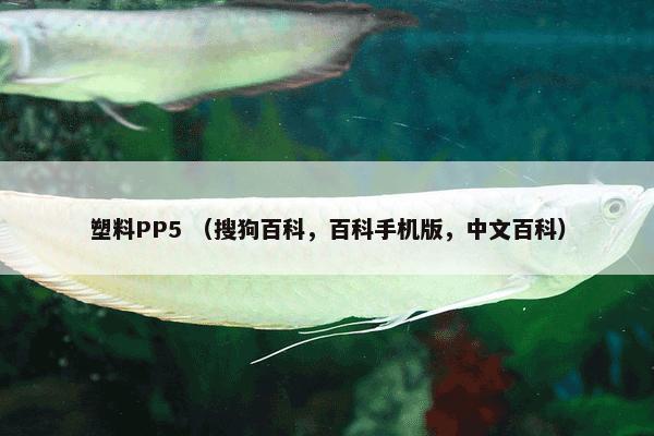 塑料PP5 （搜狗百科，百科手机版，中文百科）