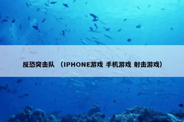 反恐突击队 （IPHONE游戏 手机游戏 射击游戏）