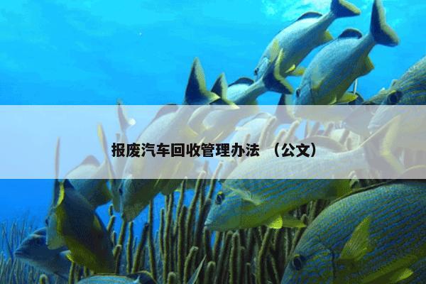 报废汽车回收管理办法 （公文）