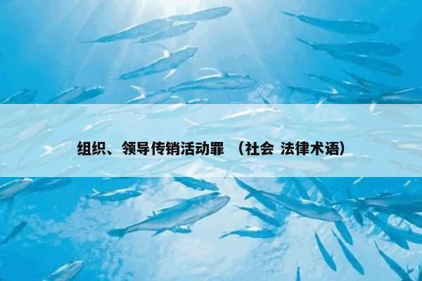 组织、领导传销活动罪 （社会 法律术语）