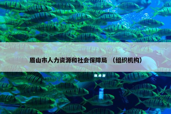 眉山市人力资源和社会保障局 （组织机构）