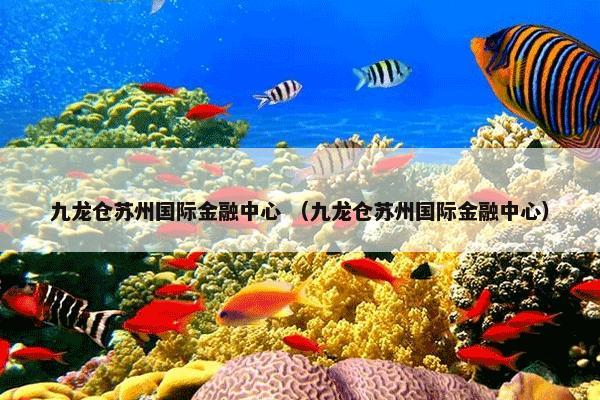 九龙仓苏州国际金融中心 （九龙仓苏州国际金融中心）