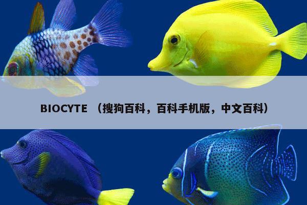 BIOCYTE （搜狗百科，百科手机版，中文百科）