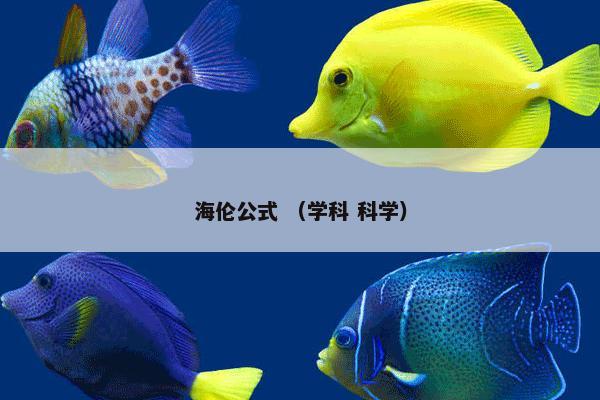 海伦公式 （学科 科学）