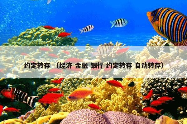 约定转存 （经济 金融 银行 约定转存 自动转存）