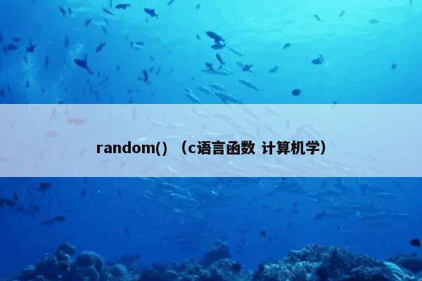 random() （c语言函数 计算机学）