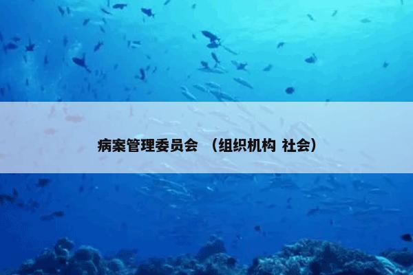 病案管理委员会 （组织机构 社会）