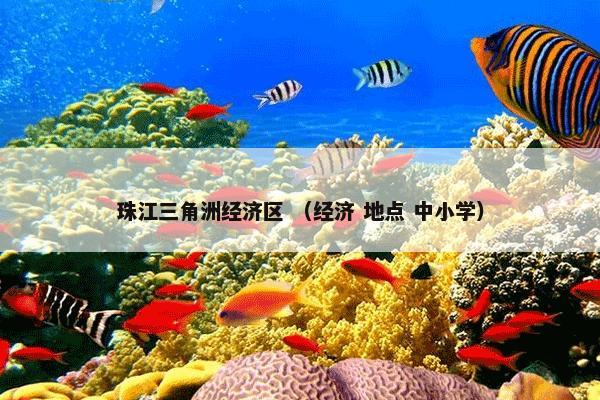 珠江三角洲经济区 （经济 地点 中小学）