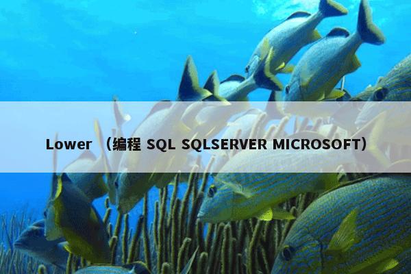 Lower （编程 SQL SQLSERVER MICROSOFT）