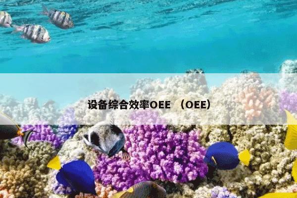 设备综合效率OEE （OEE）