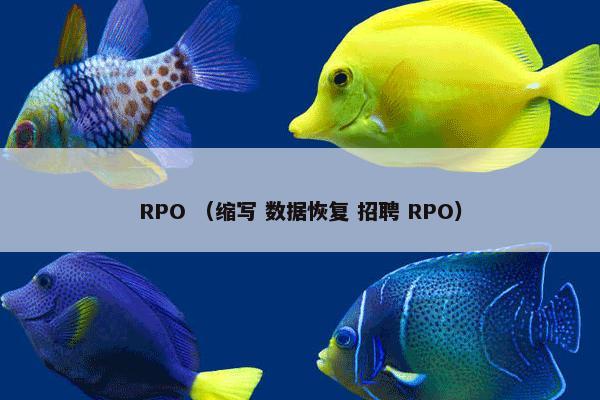 RPO （缩写 数据恢复 招聘 RPO）