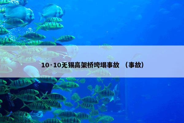 10·10无锡高架桥垮塌事故 （事故）