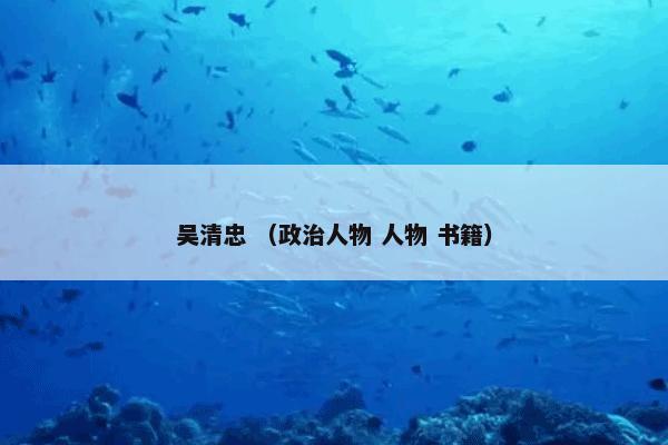 吴清忠 （政治人物 人物 书籍）