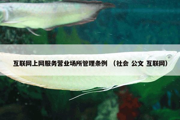 互联网上网服务营业场所管理条例 （社会 公文 互联网）