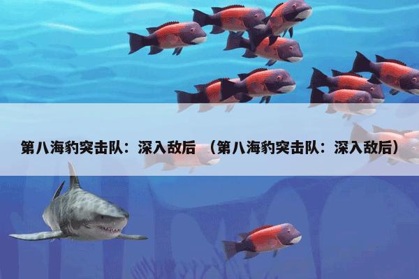 第八海豹突击队：深入敌后 （第八海豹突击队：深入敌后）