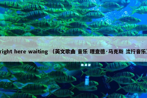 right here waiting （英文歌曲 音乐 理查德·马克斯 流行音乐）