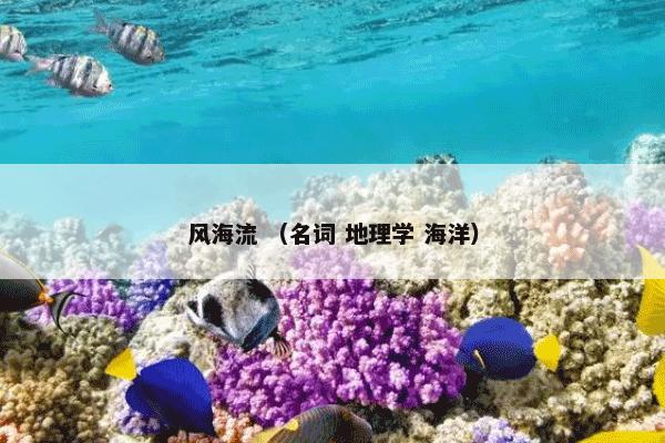 风海流 （名词 地理学 海洋）