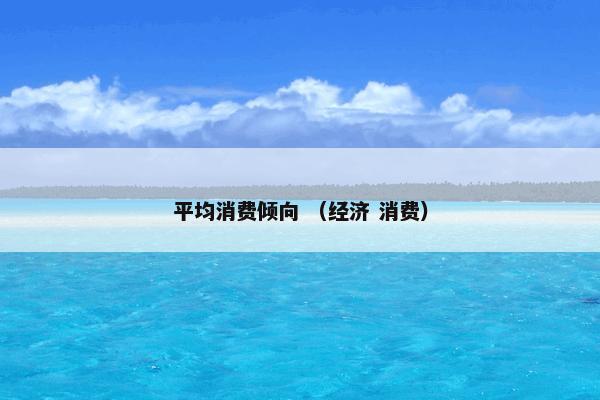 平均消费倾向 （经济 消费）