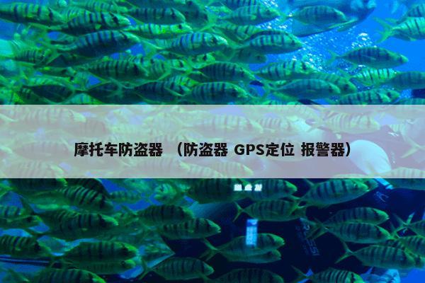 摩托车防盗器 （防盗器 GPS定位 报警器）