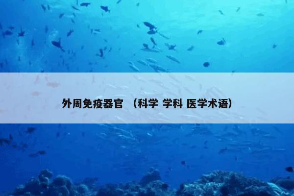 外周免疫器官 （科学 学科 医学术语）