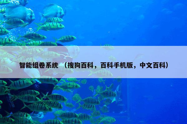 智能组卷系统 （搜狗百科，百科手机版，中文百科）