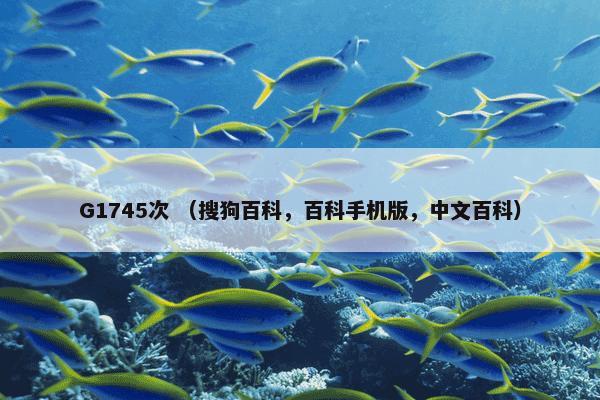 G1745次 （搜狗百科，百科手机版，中文百科）