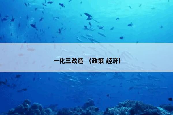 一化三改造 （政策 经济）