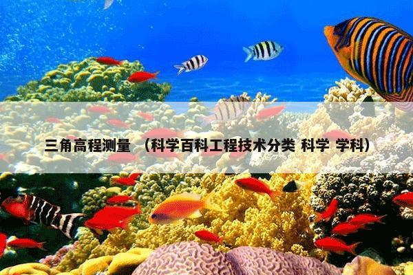 三角高程测量 （科学百科工程技术分类 科学 学科）