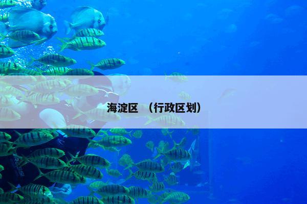 海淀区 （行政区划）