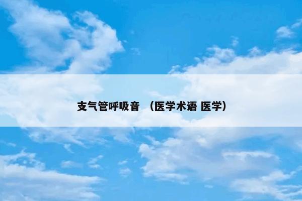 支气管呼吸音 （医学术语 医学）