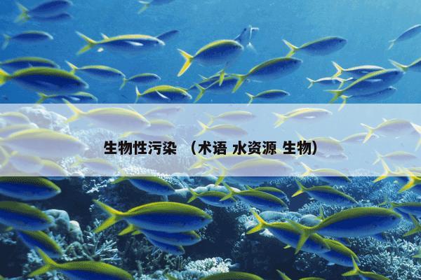 生物性污染 （术语 水资源 生物）