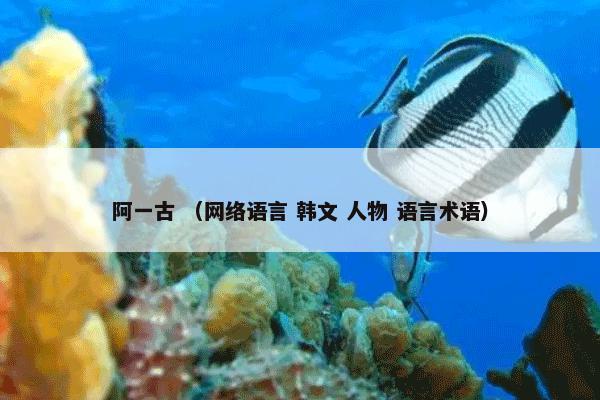 山东省人力资源和社会保障厅 （政府机构）